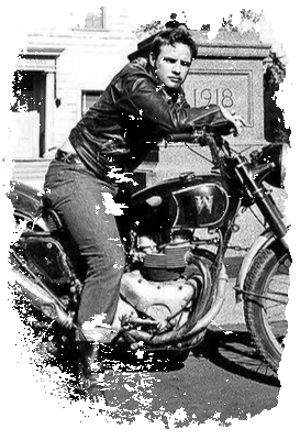 BRANDO W BIKER
