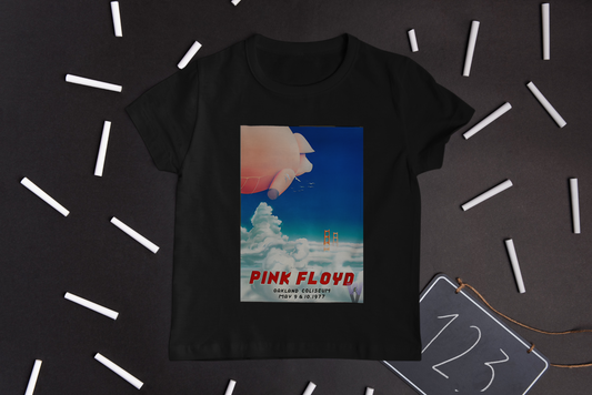 Pink Floyd Oakland concert