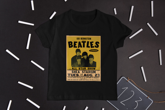 Beatles Sea stadium concert