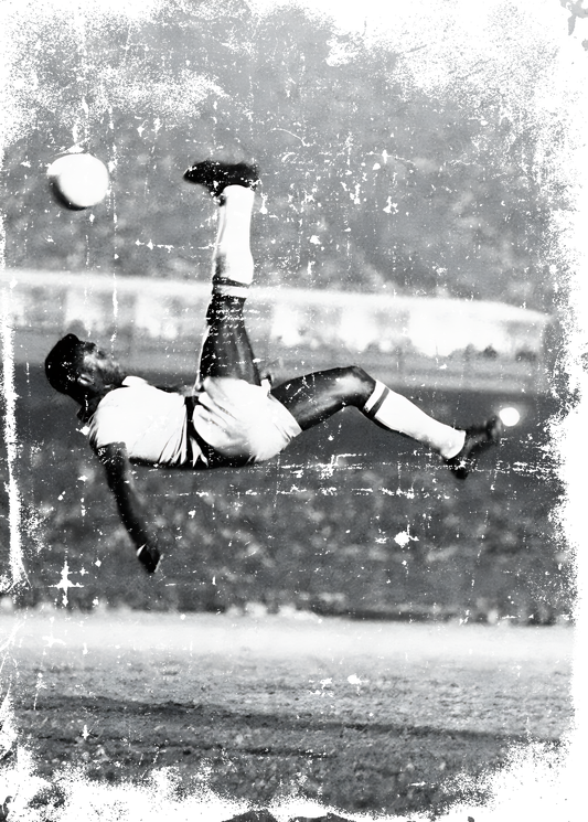 PELE CHILENA