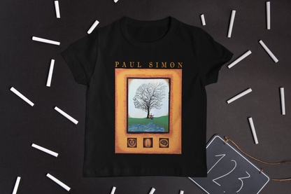 Paul Simon concert