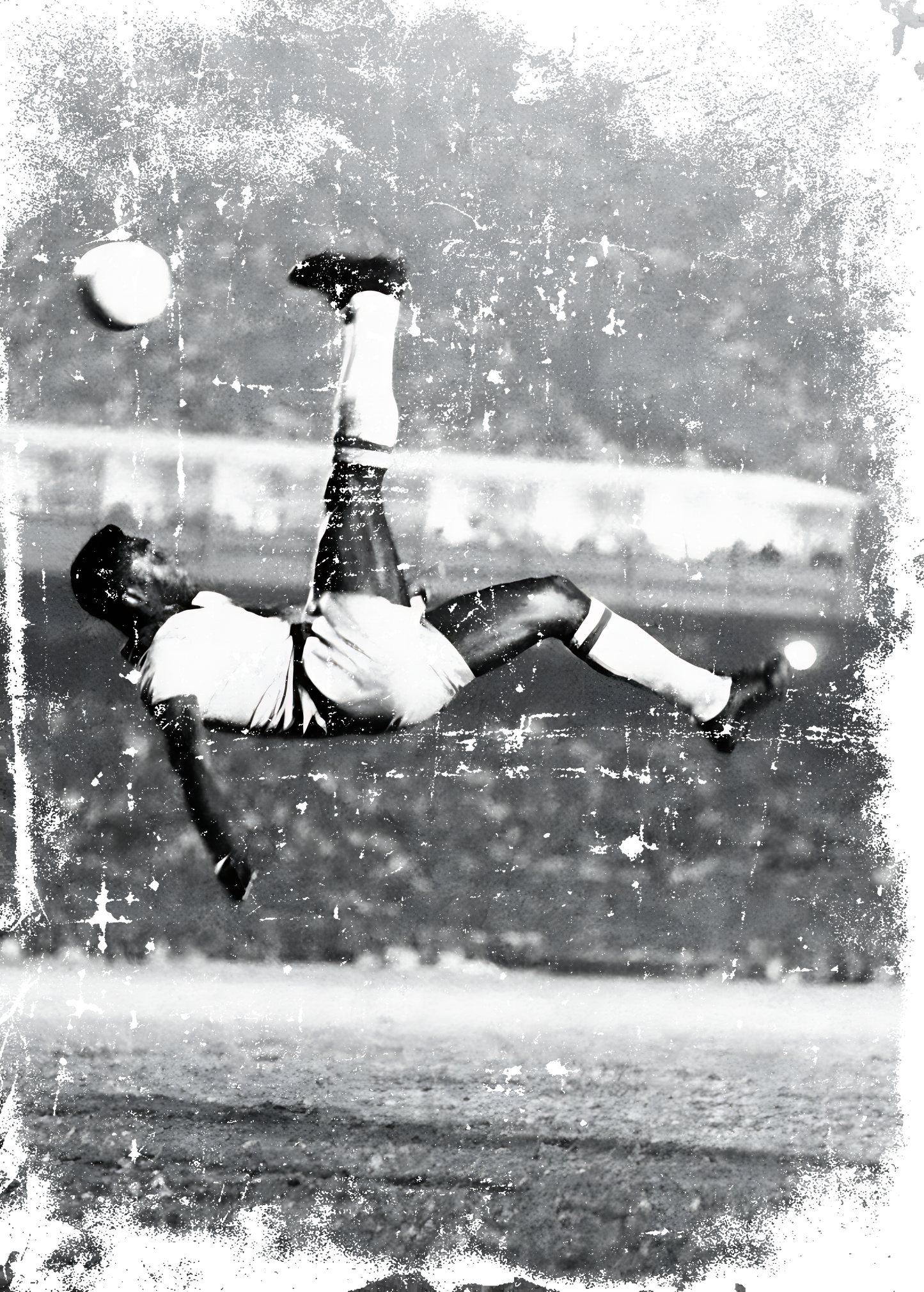 PELE CHILENA